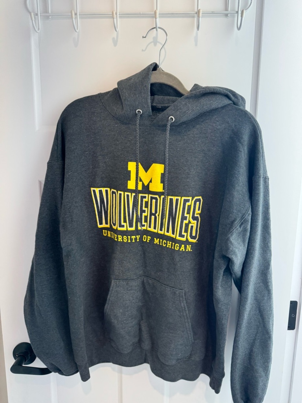 University of Michigan Wolverines Gray Hoodie - Men's